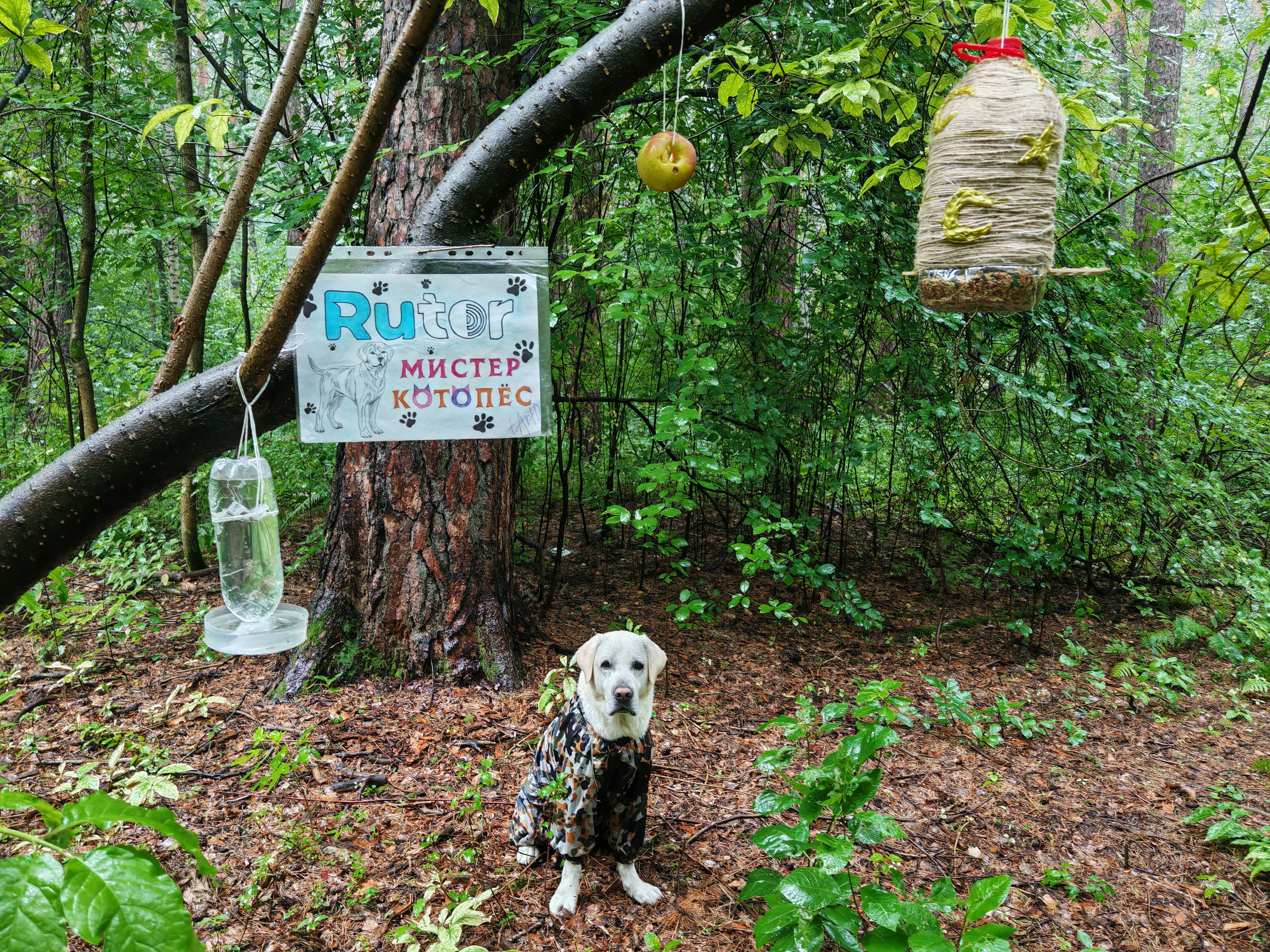 25c700a5c07131f6f923jpg