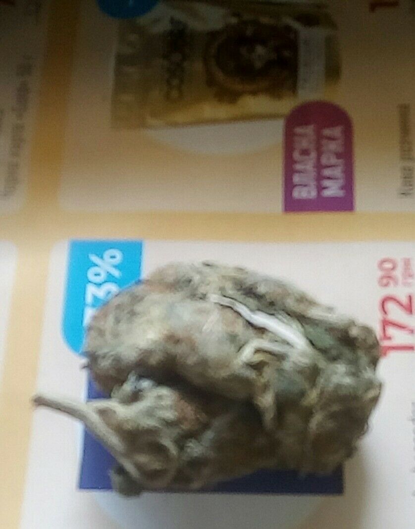 25e216e2b11c1f273d06jpg