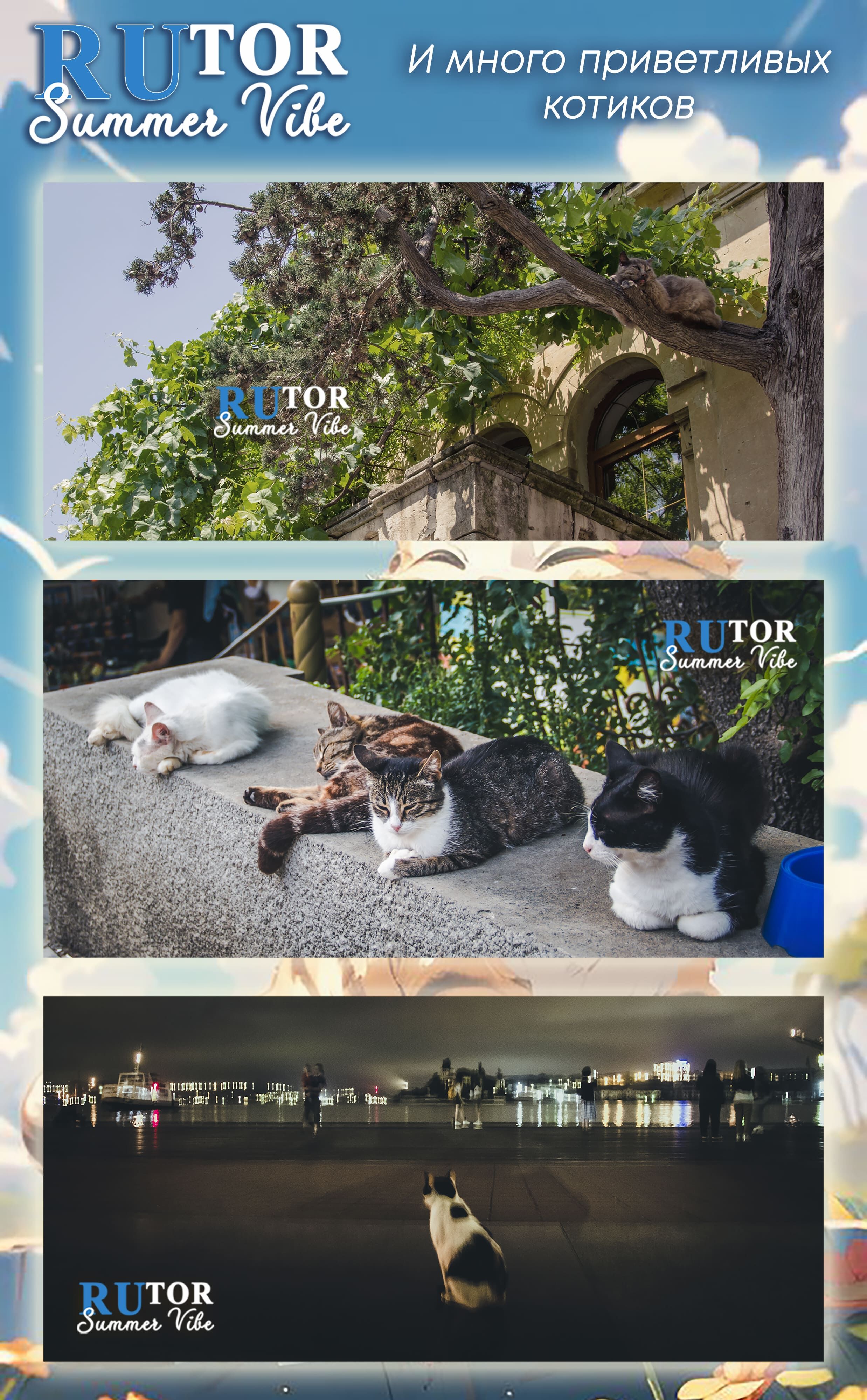 25e4d04d808670f8dd21jpg