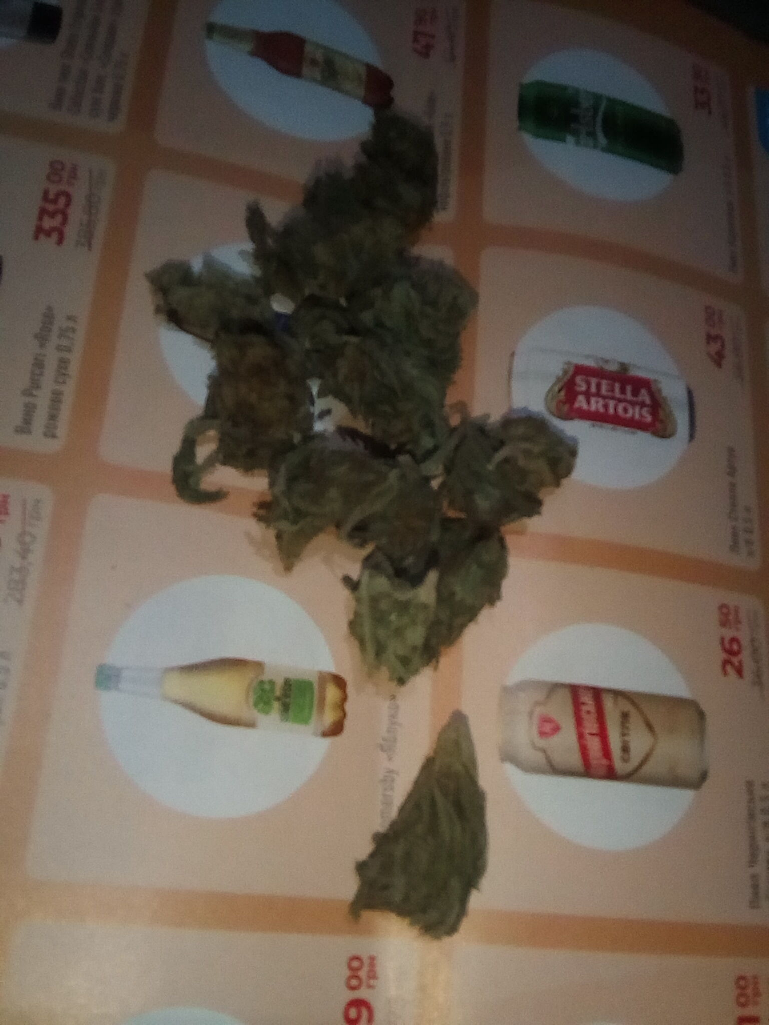 25e54789e12d445b9d29jpg