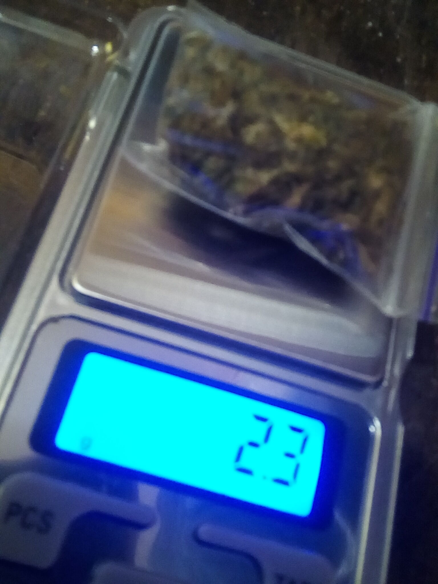 260446483034bca41511jpg