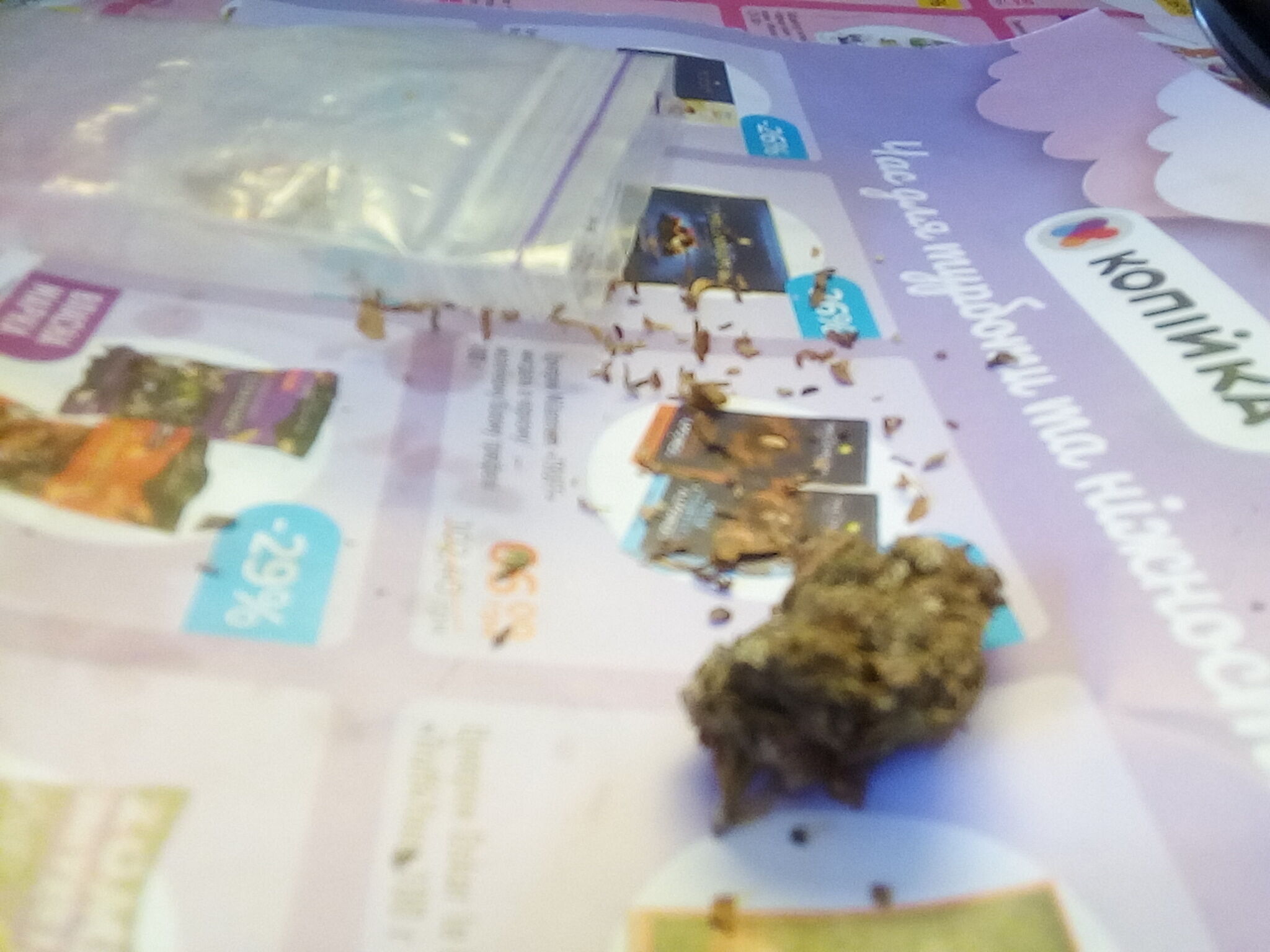 263d7cd2703f1f1b0511jpg