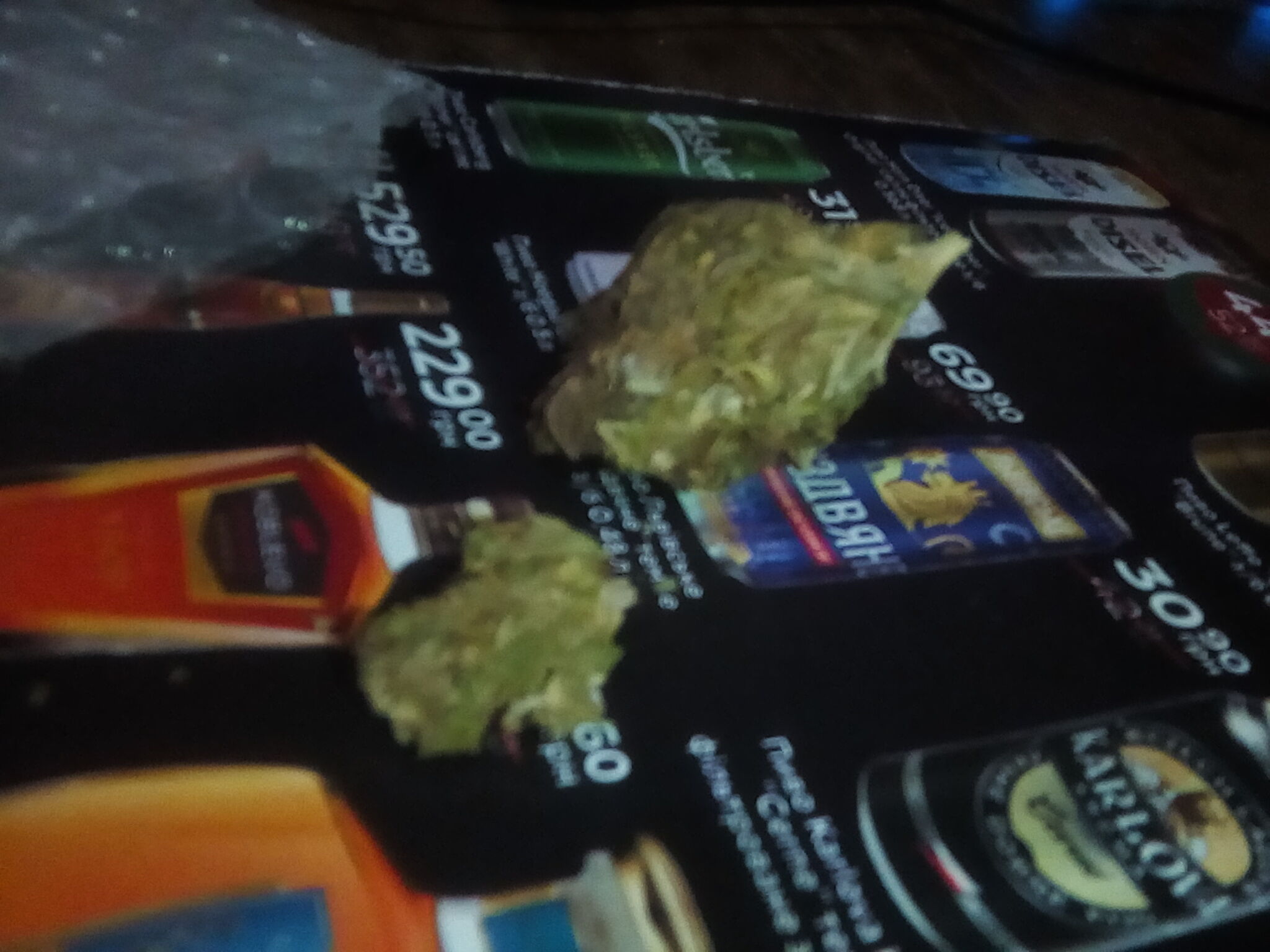 266565b2201721165608jpg